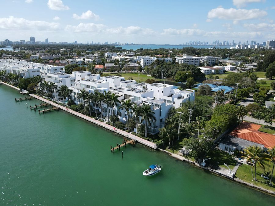Waterfront Estate concept: Aerial establishing