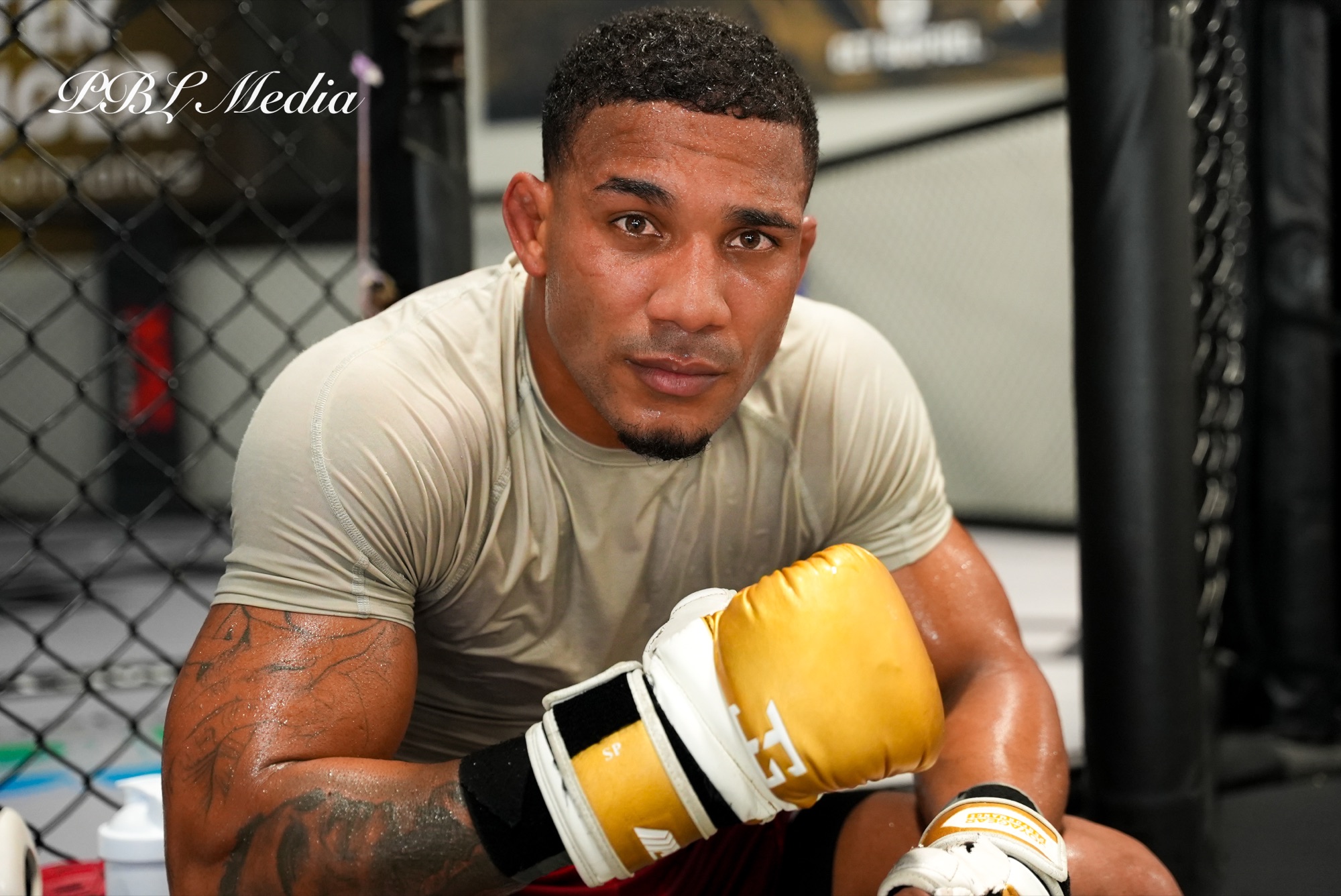 Fight Camp: photo 3