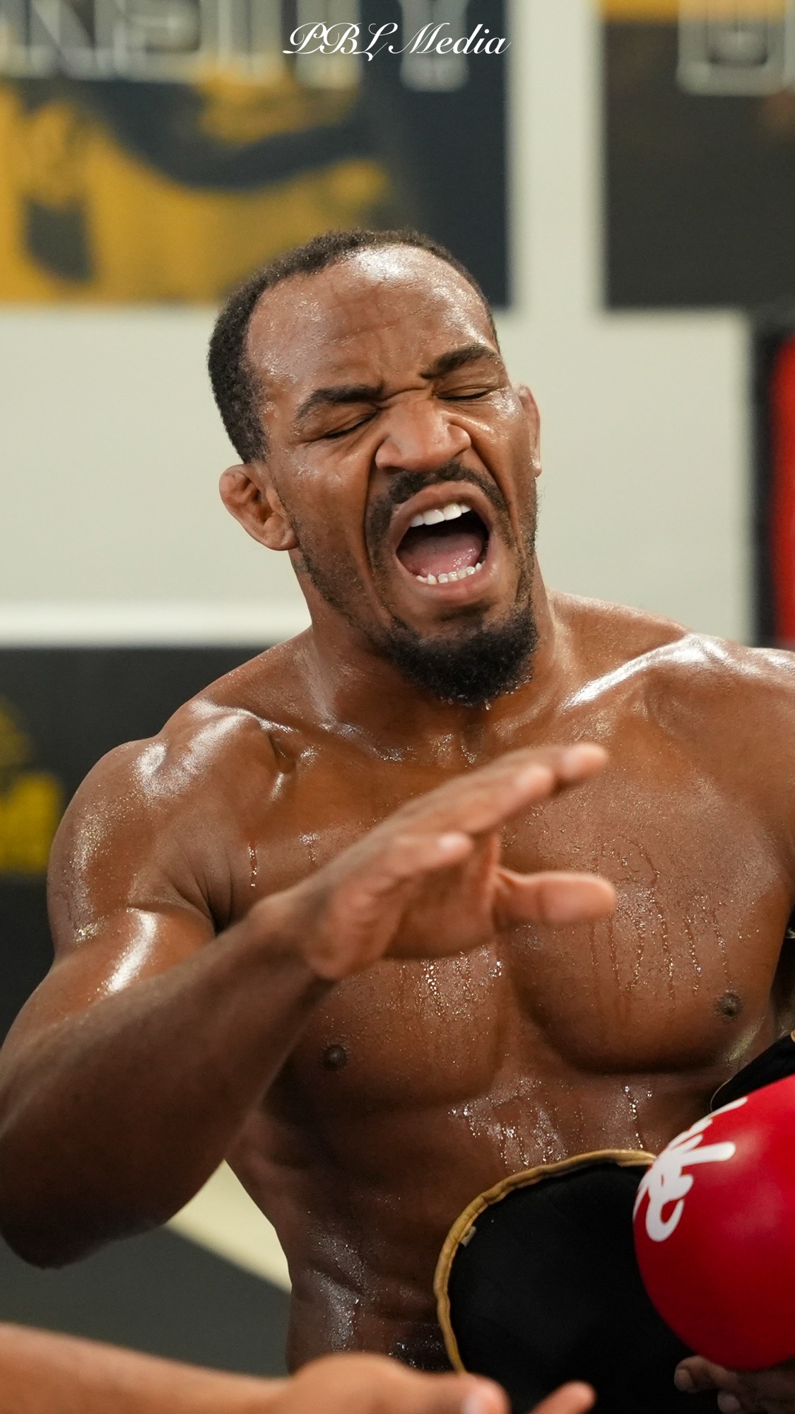 Fight Camp: photo 5